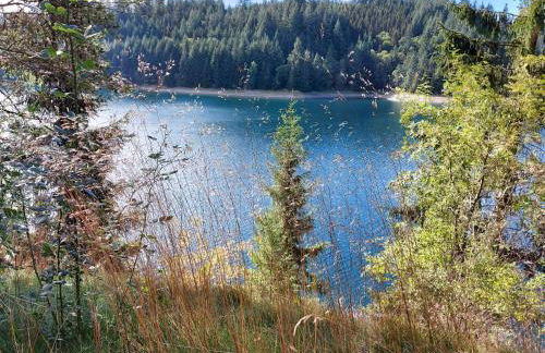 Ferienwohnung Ebert - Foto 35