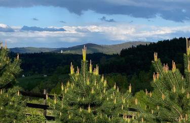 Wilcza Chata - Photo 59