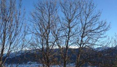 Gites Ardoise et Girolle Formiguères - Foto 3