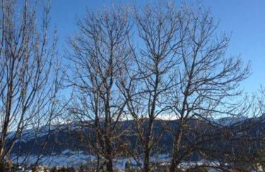 Gites Ardoise et Girolle Formiguères - Foto 3