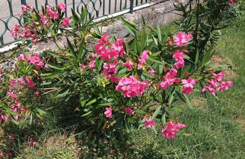 La Candelora Casa Vacanze - Foto 18