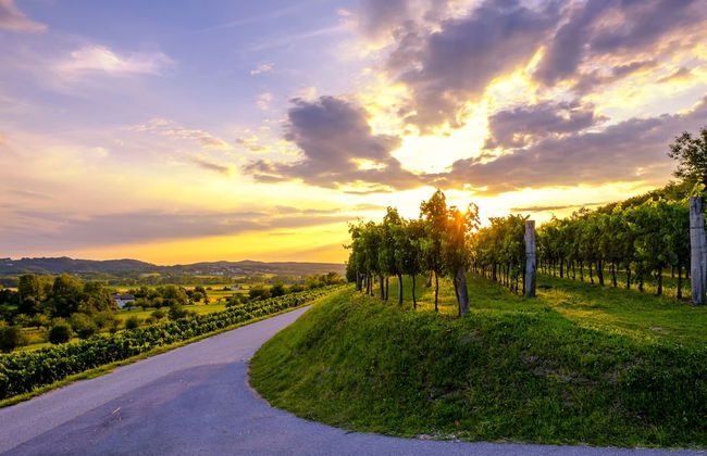 Vipava River Retreat - Photo 17