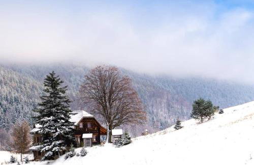 Lipowe Wzgórze Limanowa - Foto 66