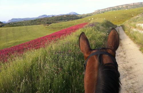 Ridocco Agriturismo - Foto 51