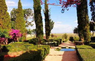 Cortijo El Triguero N-398 Ctra Carmona – El Viso del Alcor Km 18 - Foto 28