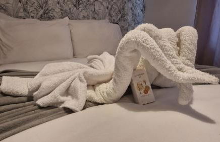 Le Jeanne d'Arc avec sa terrasse By UnSejourANancy Fr - Foto 7