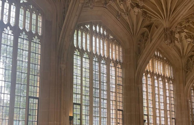 Top Sights of Oxford - Guided Walking Tour with Optional Divinity School Ticket - Photo 8
