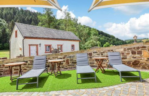 Admiral Vanessa - Foto 6