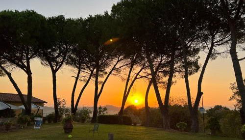 Agriturismo Le Querciole - Foto 3, Garden, Garden view