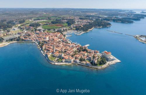 Jani by Briskva - Foto 24