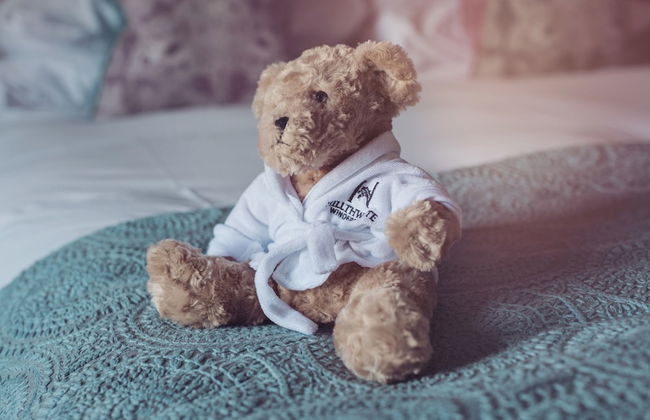 Windermere Hillthwaite Hotel - Foto 28