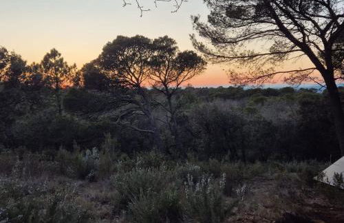 Lodge Grand Confort en Nature - Salle de bain italienne - 10 min A7 - Foto 12