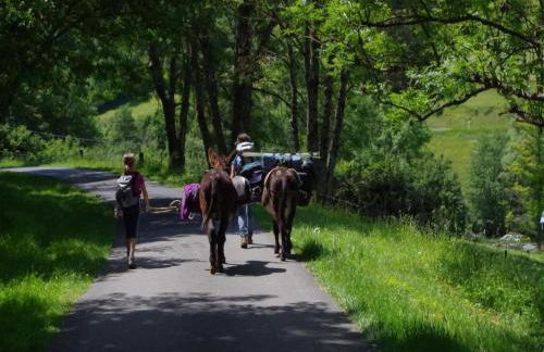 Glamping Tent in the Ardennes - Foto 22