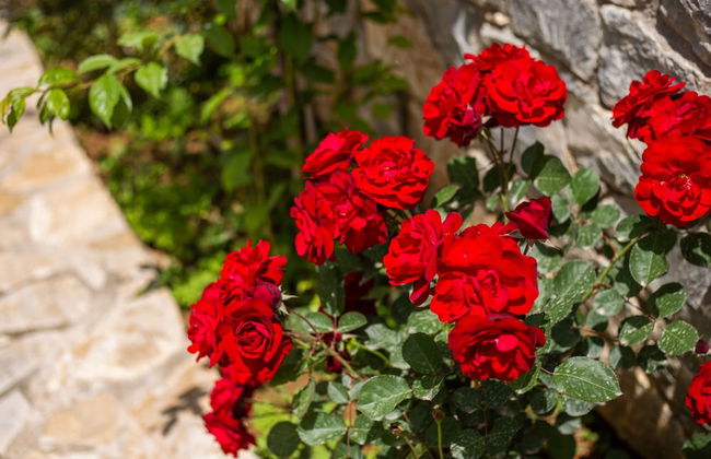 Hotel Aphrodite - Foto 54