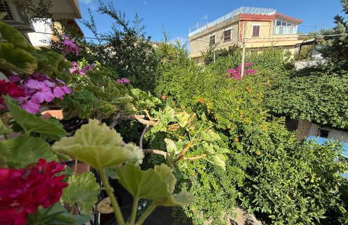 appartamento in villa a Pietragrande Villa Mi Vida - Photo 42