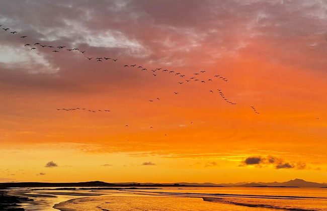 Kirkapol Beach Pod Sleeps 2 With Views - Foto 8