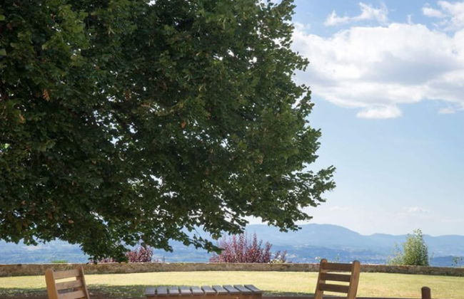 House in Tuscany With Pool & Olive Grove Views - Foto 26