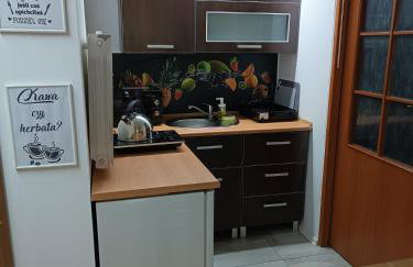 Agroturystyka Rudy Kocur Różana 24 Jaroszowice - Foto 28
