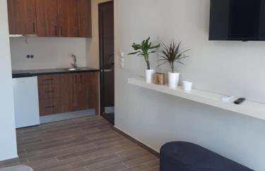 Studio Wilem - Foto 22