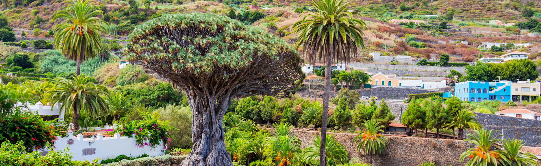 Excursão ao Teide, Icod, Masca e Garachico saindo do sul de Tenerife