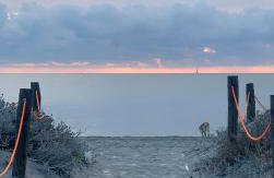 Casa Nuditta - Photo 51