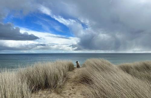 Kinnoull House near Stornoway Hot-Tub Sauna Pet Friendly - Photo 61