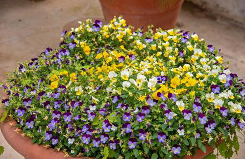 Villa Pauletta - Photo 48