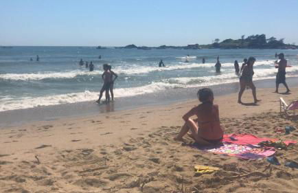 Apartmento 50 metros Praia da Armação - Floripa!!! 35 - Photo 35