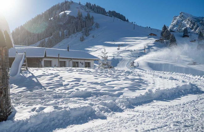 Berg Herz Grimmialp (Schwenden) - Foto 44