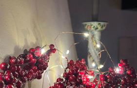 Grange pour 6 personnes avec studio indépendant - Foto 12