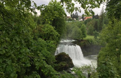 Apartment Garden - Foto 70