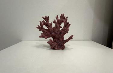 Domus Afrodite - Torre Squillace - Foto 8