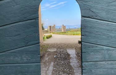 Studio Ebi Vacation - Lazise - Foto 33