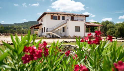 Sa Mandracchina - Foto 5, Garden