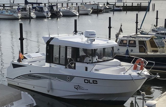 Ostseemuschel - Foto 19