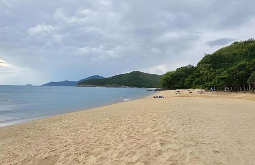 Modernismo Tropical em Toque Toque Pequeno - Foto 49