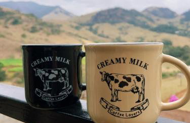 Chalé Canto dos Pássaros MG - Foto 6