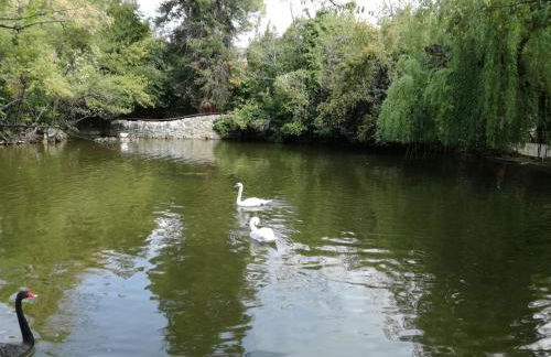 Teramo Garibaldi's Sweet Home - Foto 14