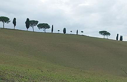 Molino della Tuoma - Foto 24