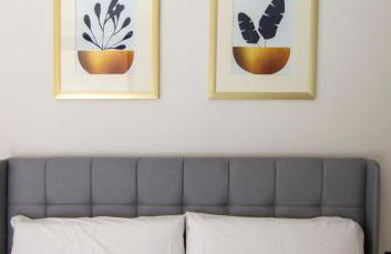 VLC HOST - Luz Casanova - Foto 16