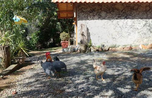 Casa de Campo Refúgio Jaguary - Foto 33