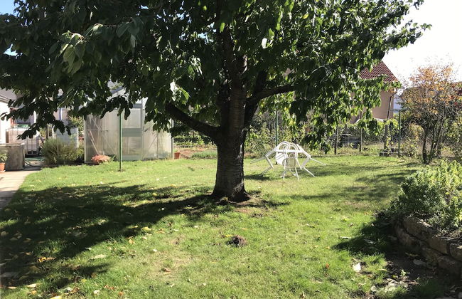 Ferienwohnungen Scheuring - Photo 44