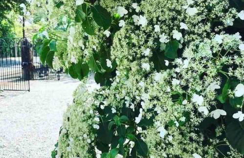 The Old School House, luxury home with hot tub. - Foto 24