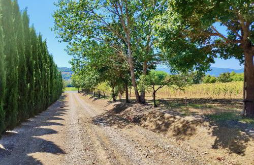 The Monastery - St Antimo - Foto 78