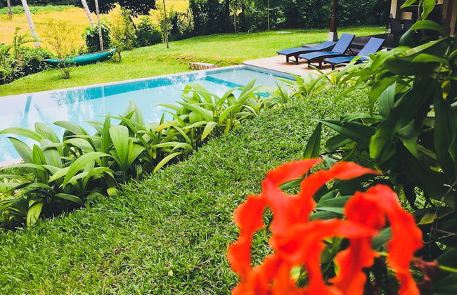 The Mugatiya - Foto 22