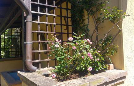 Agriturismo Pettinari - Foto 38