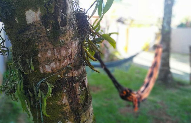 Casa Stoked Ubatuba - Foto 20