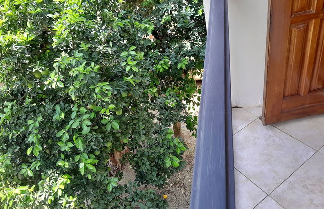 Villa Sankofa - Photo 49