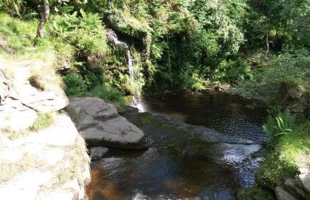 Gibraltar Farm Cottage - Foto 13