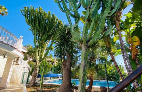 Apartments with tropical garden and sea water pool - Foto 64